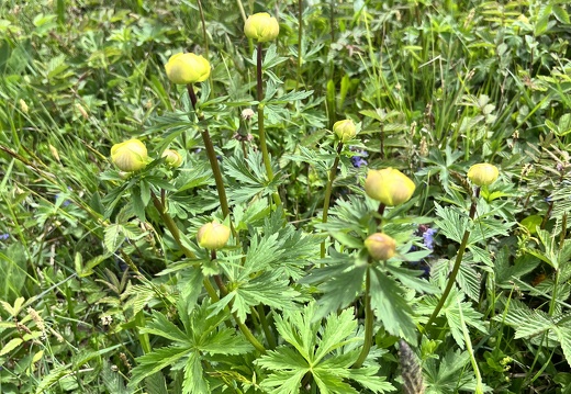 23-05-21 17-02-16 5537